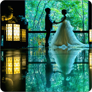 レビュー A&Mさま