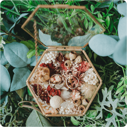 レビュー S&Nさま