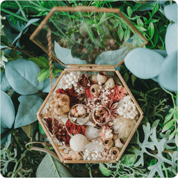 レビュー S&Nさま