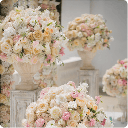 レビュー K&Sさま